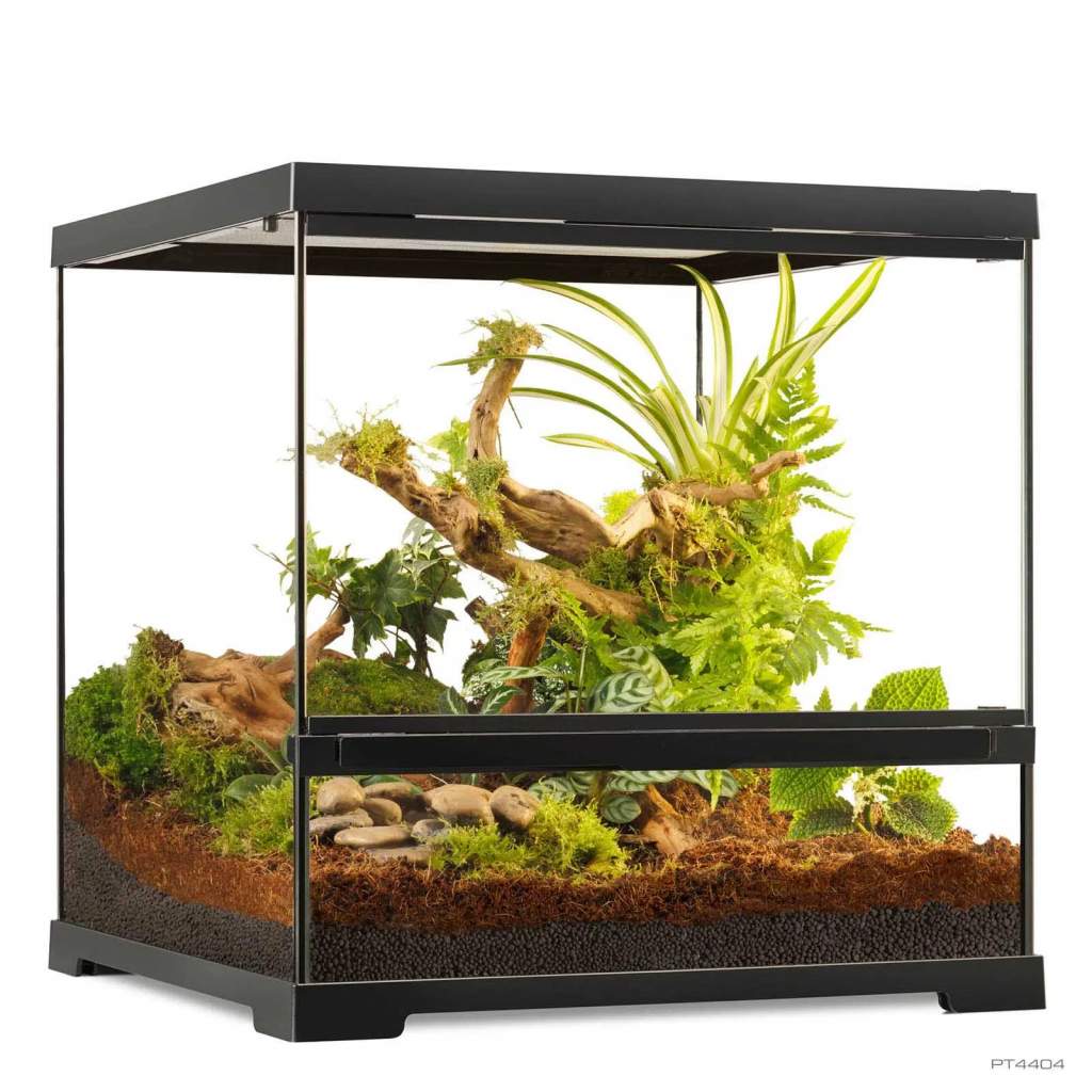 Pro Terrarium